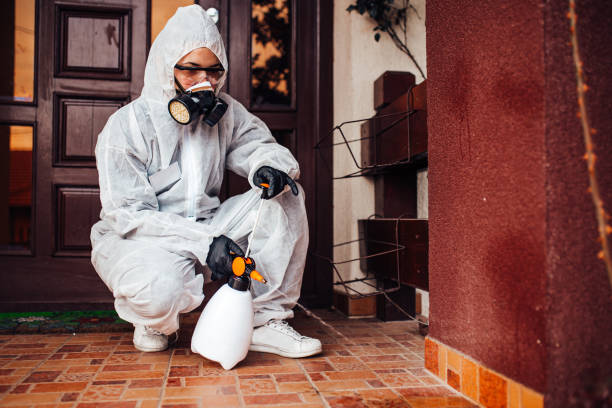 Reliable Mosquito Control contractor in Clayton, NM by Show Me Pest Control